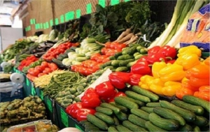 «الزراعة» تعلن ارتفاع صادرات مصر لأكثر من 3.7 مليون طن