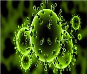 «من دون وفيات».. ثاني دولة آسيوية تنتصر على فيروس كورونا