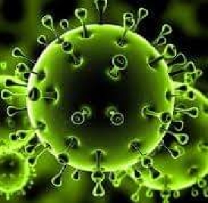 البروفيسور أغرانوفسكي : نوع الفيروسات الأكثر خطورة