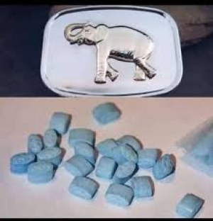 الفيل الأزرق.. المخدر الذي ينقلك إلى &quot;العوالم الأخرى&quot;