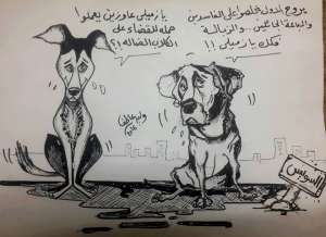 الكلاب الضالة تسخر من مسئولي السويس ..كاريكاتير وليد عاطف سالم