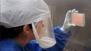 استخدام فيروس الإنفلونزا لعلاج أخطر أنواع السرطانات