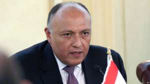 الخارجية: مصر قادرة على الدفاع عن مصالحها المائية فى قضية سد النهضة