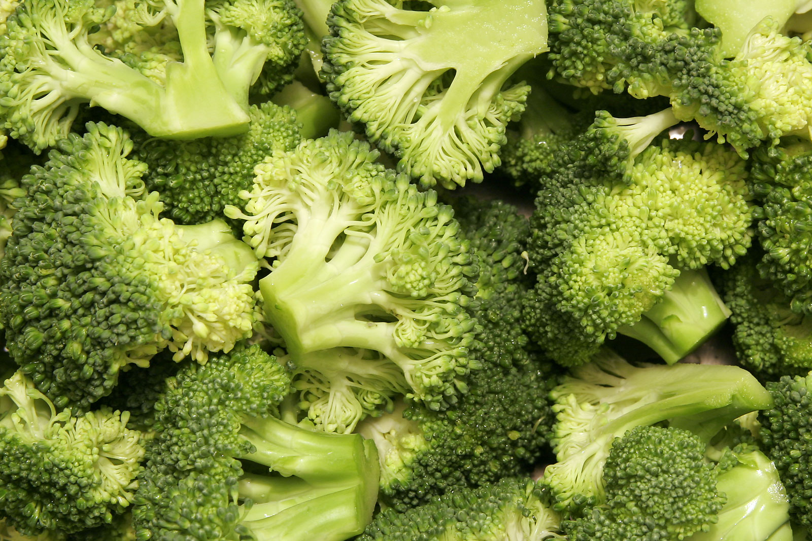 Broccoli aa593