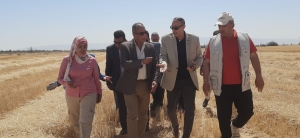 عبد العال يتابع حصاد القمح وتوفير المياه للمزارعين بالسويس