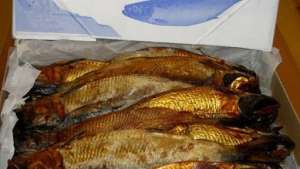 ضبط شخص وبحوزته طن من الأسماك المملحة الفاسدة تمهيدا لبيعها خلال «شم النسيم