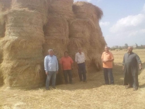 وزير الزراعة يوجه بتكثيف حملات التوعية بمنظومة تجميع وتدوير قش الأرز