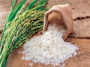 انخفاض سعر الأرز الأبيض في الأسواق إلى 10,5 جنيه للكيلو