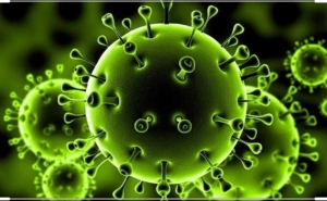 أطباء أمريكيون ينشرون  نتائج الاختبارات الأولى لمضاد لفيروس كورونا المستجد SARS-CoV-2