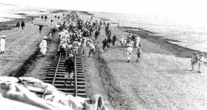 أول خط سكة حديد في تاريخ مصر والأول من نوعه في أفريقيا والوطن العربي