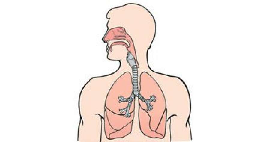 العزف على آلات النفخ يساعد فى علاج توقف التنفس أثناء النوم