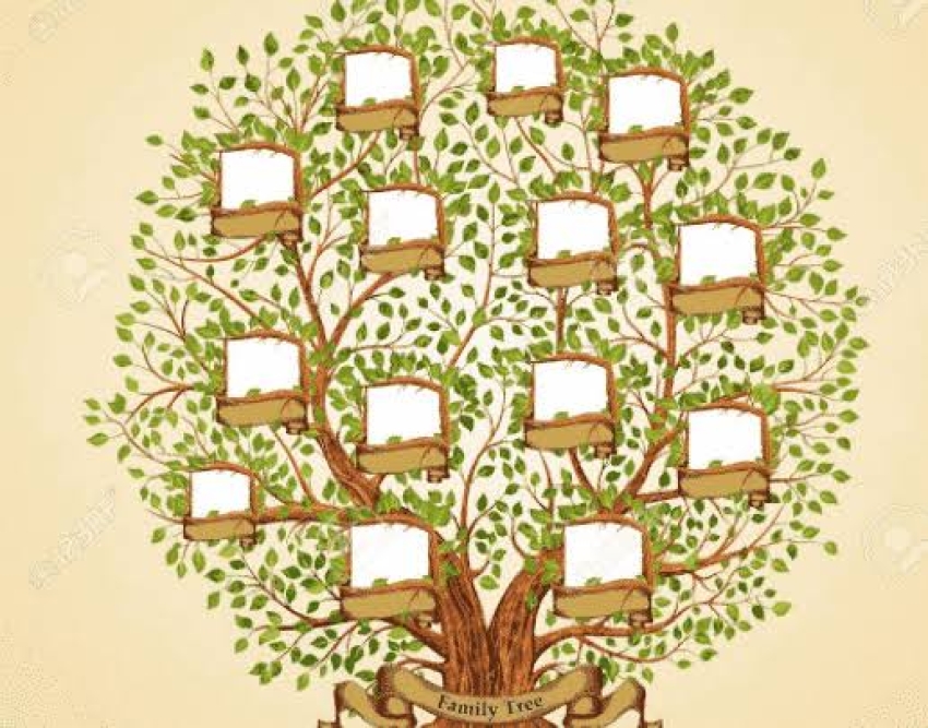 كيف تعرف شجرة عائلتك من موقع على الإنترنت؟