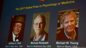 فوز جيفري و روزباش ومايكل يانغ بجائزة نوبل للطب لعام 2017