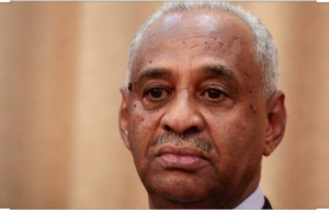 وزير الاعلام السودانى : تجميد قرار رفع الدعم عن الوقود