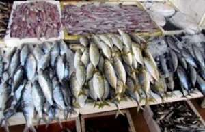 ضبط نصف طن أسماك غير صالح للاستخدام في مطعم شهير بالغردقة