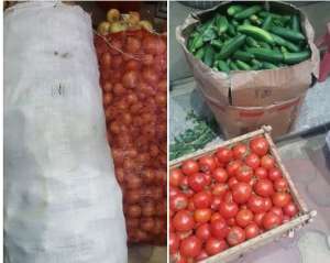 شاب سويسي يطلق مبادرة اشتري الارخص ويبيع الخضروات اقل من سعر السوق بعدة جنيهات وصديقه يشاركه