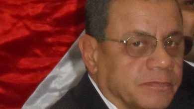moner e1323