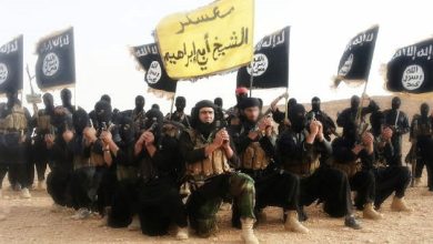 5011_ac583.jpg