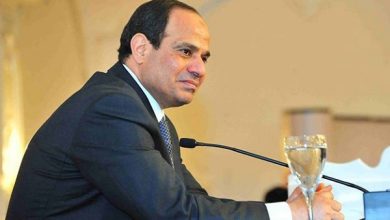 sisi 55bc3