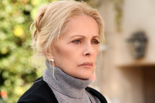virnalisi_ceacf.jpg