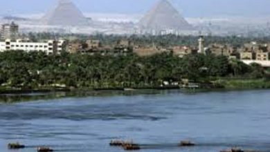 nile 96c48