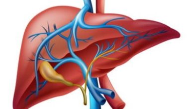 Liver_8581c.jpg