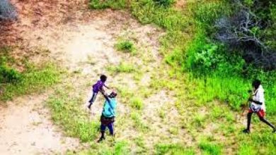 صورة توضيحية