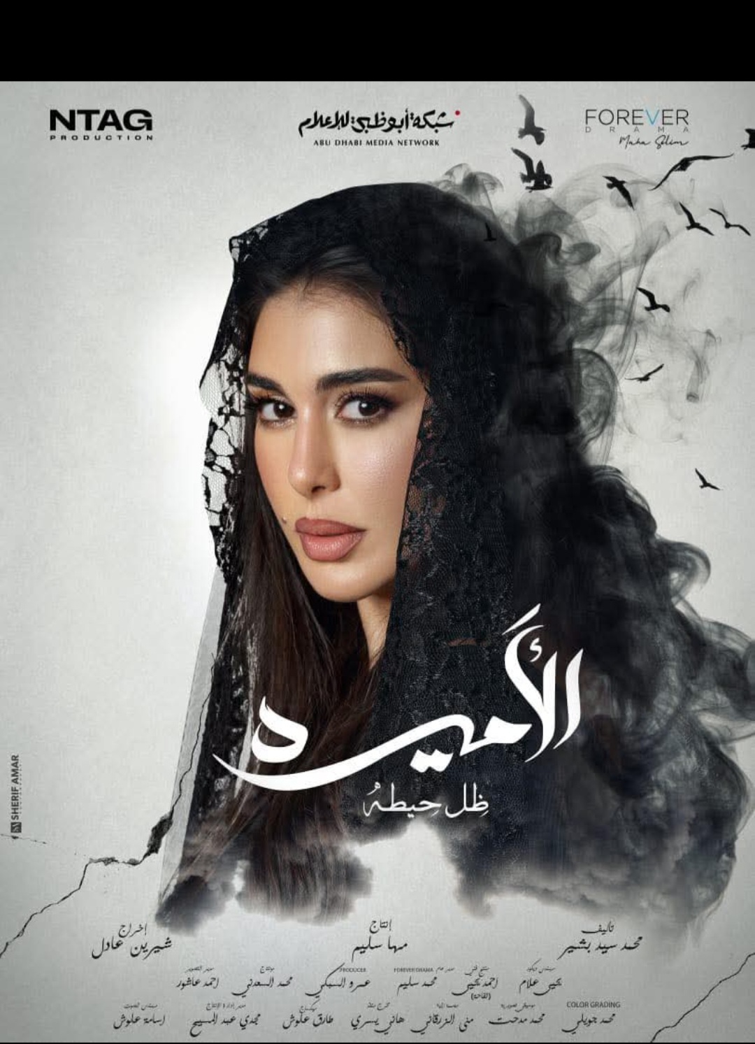 موقع السويس بلدي | عرض مسلسل الأميرة ظل حيطة حصريًا على قناة أبو ظبي في  رمضان 2025